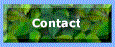 How to contact MEM